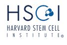 Гарвардский Институт Стволовых Клеток 