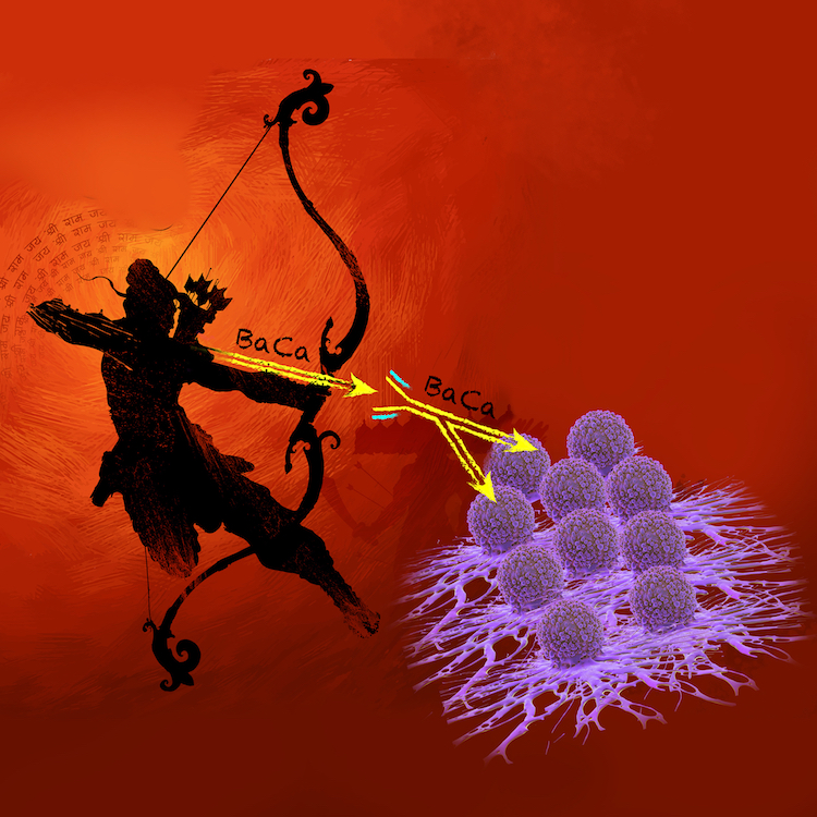 An artist's interpretation of the "two-headed" arrow UVA is developing to destroy ovarian cancer. Image by Anita Pagliazzo, as conceived and designed by Jogender Tushir-Singh.