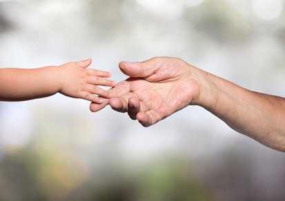 Тканеспецифические особенности старения