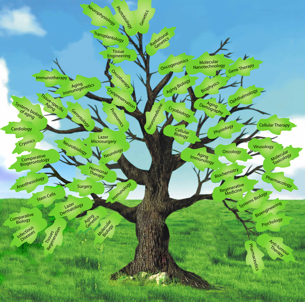 Tree aging