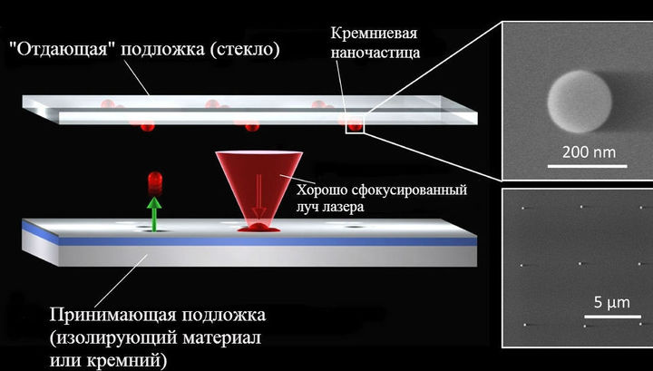 3D-БИОПЕЧАТЬ