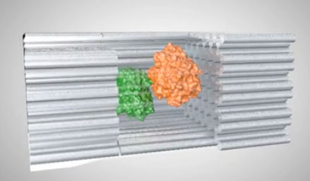 Скриншот из пресс-релиза Arizona State University “Chemical cages: New technique advances synthetic biology” – ВМ.