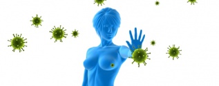 Immunological Theory of Aging