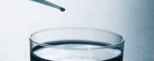 Tissue engineering