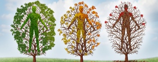 Disposable Soma Theory of Aging