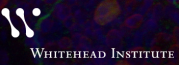 Институт Биомедицинских Исследований имени Уайтхеда {{en:Whitehead Research}}