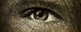 Biology of aging